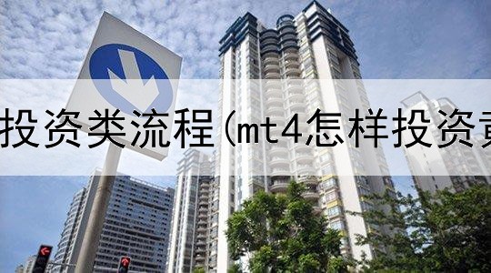  黄金白银投资类流程(mt4怎样投资黄金)