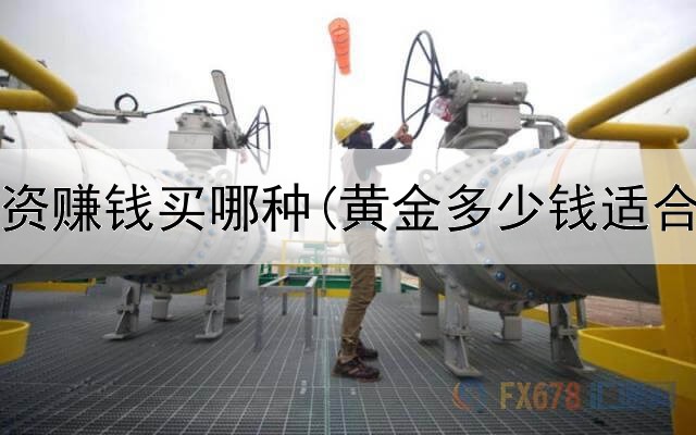  黄金投资赚钱买哪种(黄金多少钱适合投资)