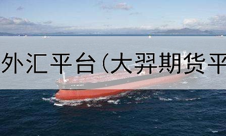  湖南长沙期货外汇平台(大羿期货平台官网下载)