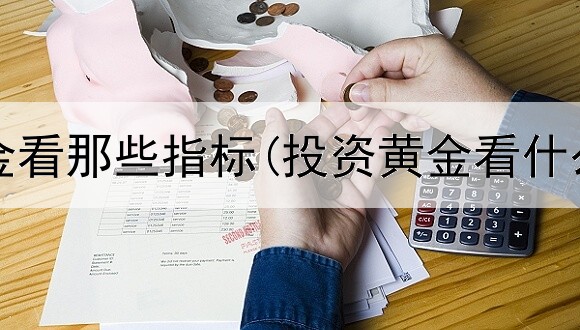  投资黄金看那些指标(投资黄金看什么时候)