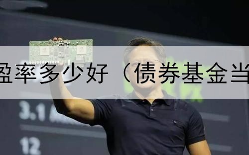  债券基金市盈率多少好（债券基金当日估值不变）