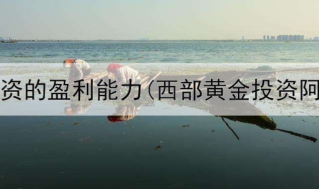 黄金投资的盈利能力(西部黄金投资阿富汗)