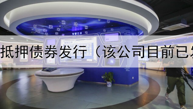  中国住房抵押债券发行（该公司目前已发行债券）