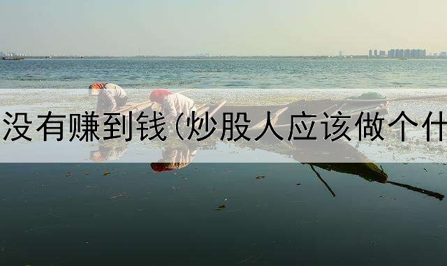 炒股一年没有赚到钱(炒股人应该做个什么工作)