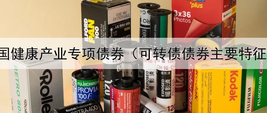  全国健康产业专项债券（可转债债券主要特征有）