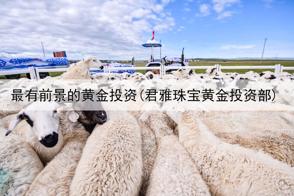  最有前景的黄金投资(君雅珠宝黄金投资部)