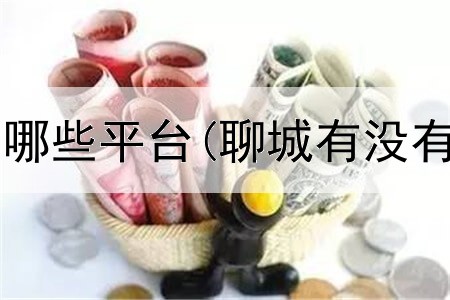  国内期货都有哪些平台(聊城有没有期货平台啊)