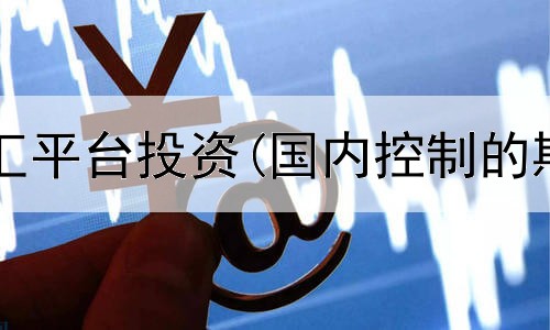  非法期货外汇平台投资(国内控制的期货平台有)