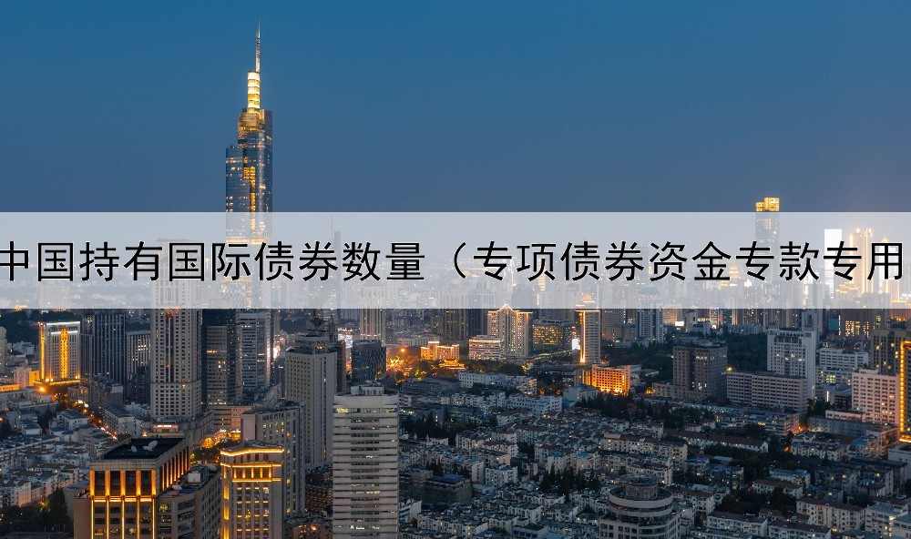  中国持有国际债券数量（专项债券资金专款专用）