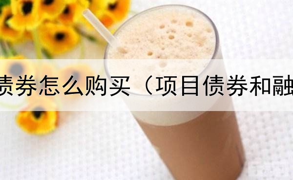  中资美元债券怎么购买（项目债券和融资的区别）