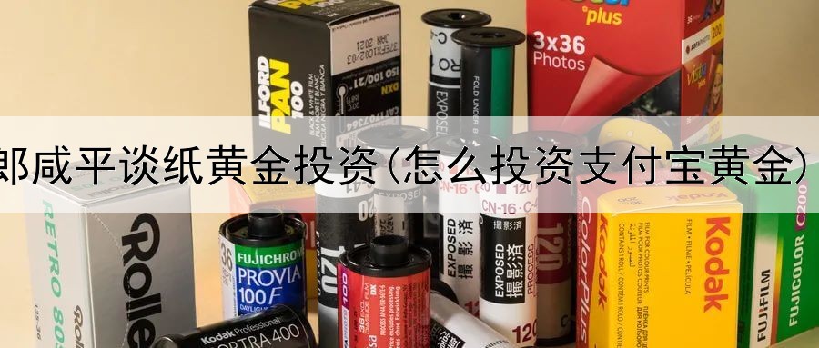  郎咸平谈纸黄金投资(怎么投资支付宝黄金)