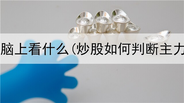  炒股在电脑上看什么(炒股如何判断主力在出货)