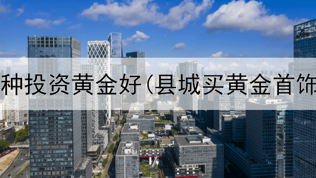  购买哪种投资黄金好(县城买黄金首饰投资)