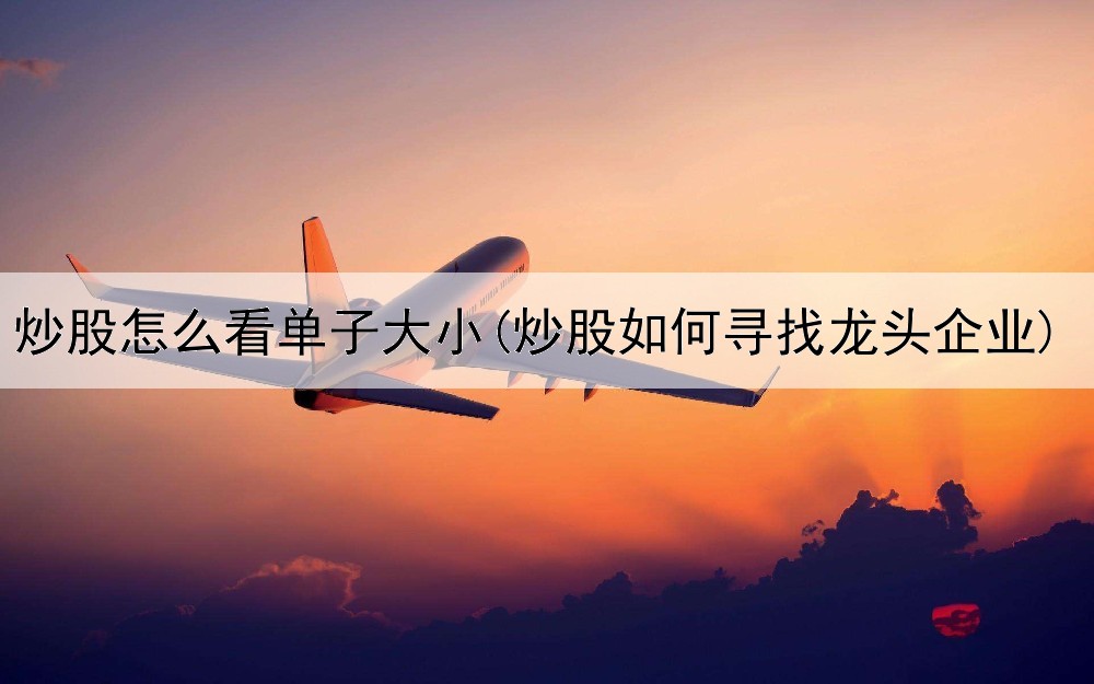  炒股怎么看单子大小(炒股如何寻找龙头企业)