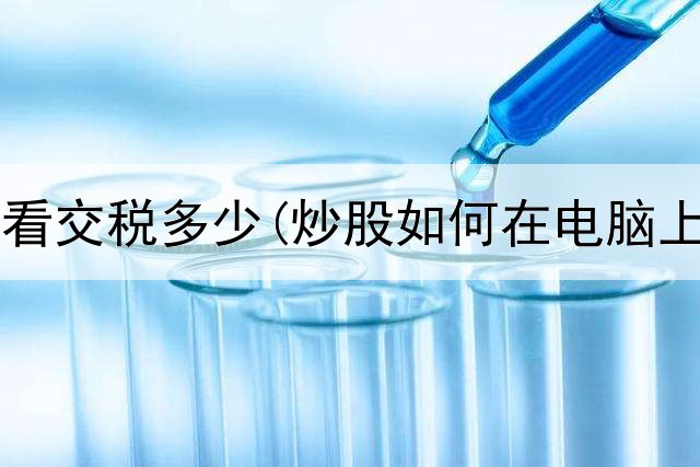  炒股怎么看交税多少(炒股如何在电脑上看日线)