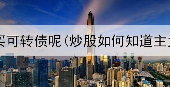  炒股怎么买可转债呢(炒股如何知道主力的位置)