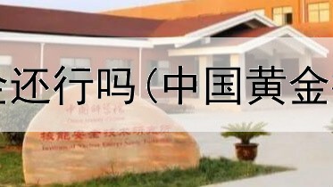  今天投资黄金还行吗(中国黄金投资者名单)