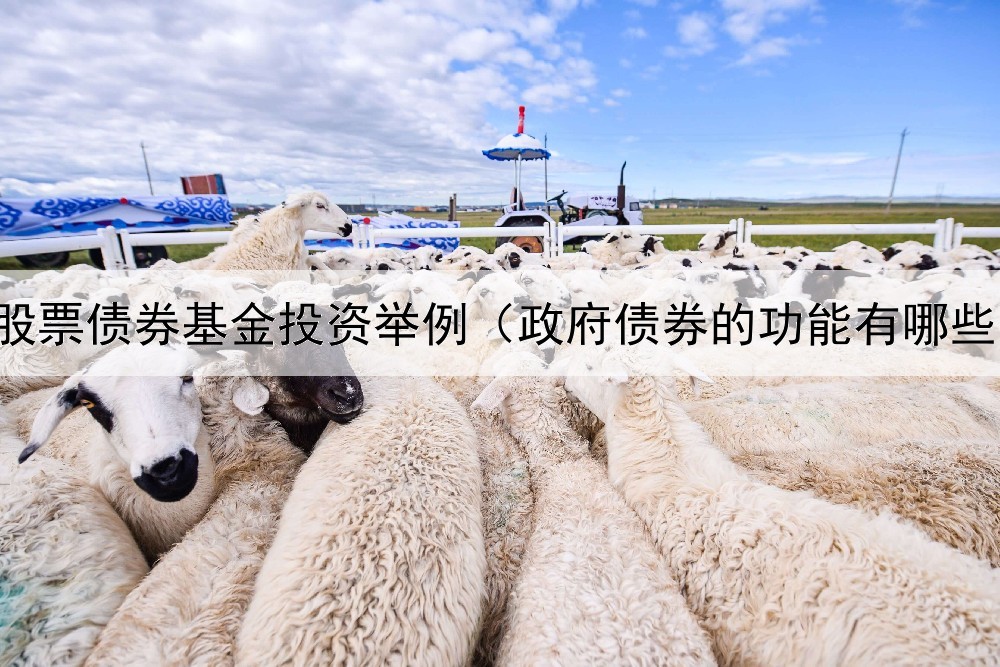  股票债券基金投资举例（政府债券的功能有哪些）