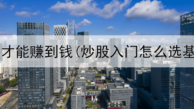  炒股怎样才能赚到钱(炒股入门怎么选基金专家)