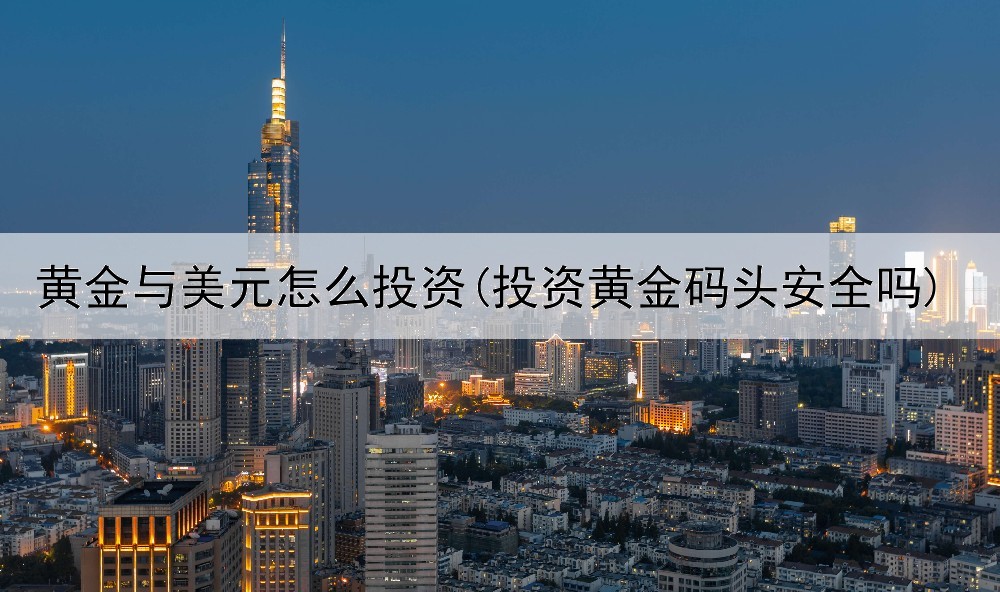  黄金与美元怎么投资(投资黄金码头安全吗)