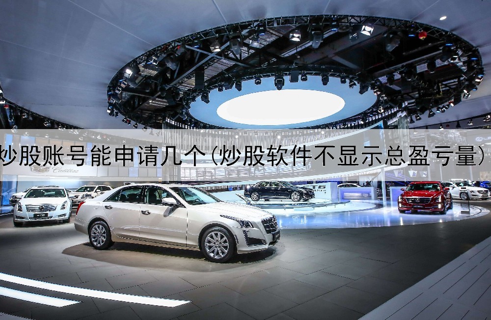  炒股账号能申请几个(炒股软件不显示总盈亏量)