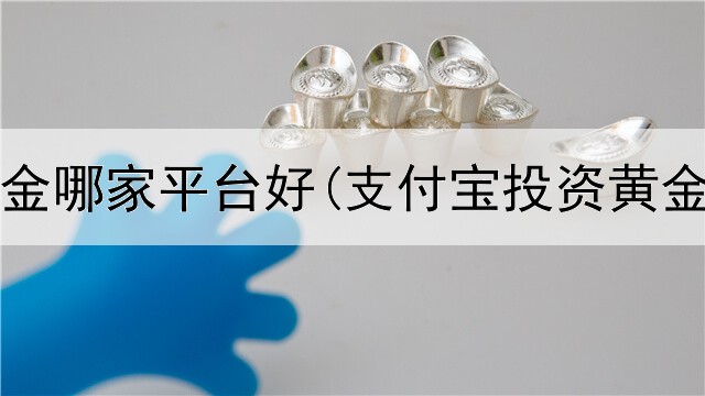  投资黄金哪家平台好(支付宝投资黄金挣钱)