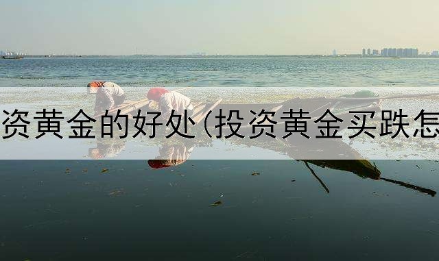  家庭投资黄金的好处(投资黄金买跌怎么买)