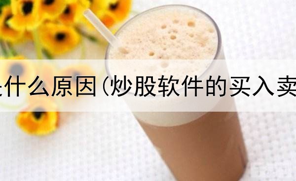  炒股挣钱是什么原因(炒股软件的买入卖出能用吗)