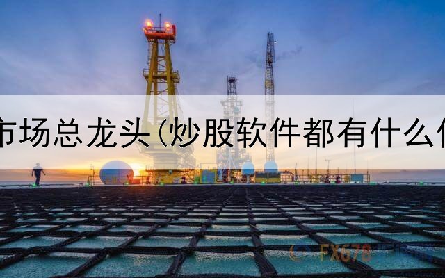  炒股只做市场总龙头(炒股软件都有什么价格板块)