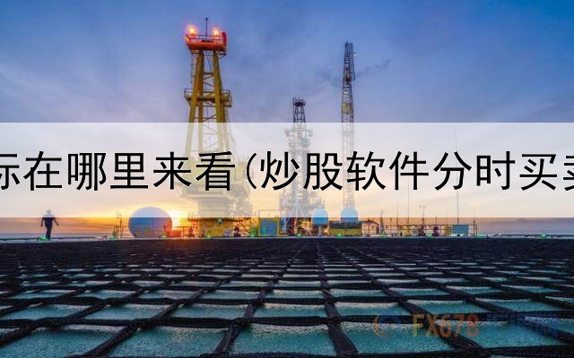  炒股指标在哪里来看(炒股软件分时买卖力道)