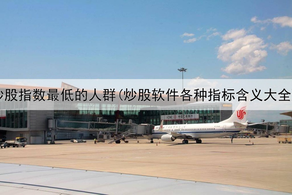  炒股指数最低的人群(炒股软件各种指标含义大全)