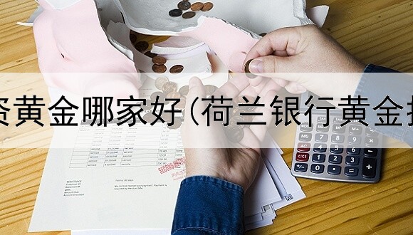  网上投资黄金哪家好(荷兰银行黄金投资者)