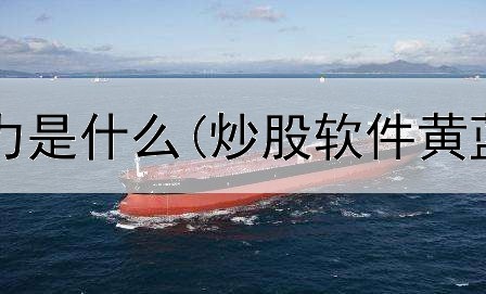  炒股中的主力是什么(炒股软件黄蓝带哪个好)