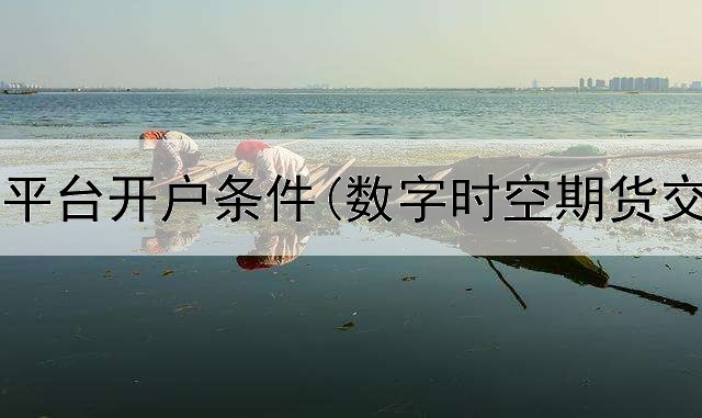  美国期货平台开户条件(数字时空期货交易平台)