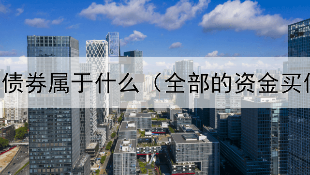  美国储蓄债券属于什么（全部的资金买债券基金）
