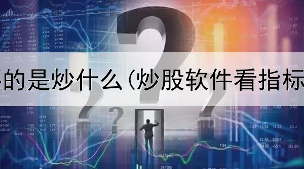  炒股重要的是炒什么(炒股软件看指标怎么看)