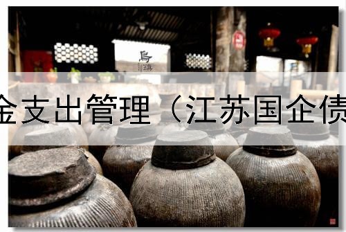 政府债券资金支出管理（江苏国企债券是基金吗）