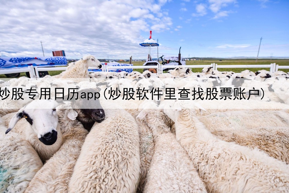  炒股专用日历app(炒股软件里查找股票账户)