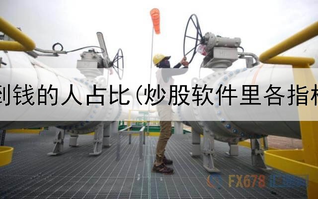  炒股赚到钱的人占比(炒股软件里各指标用法)