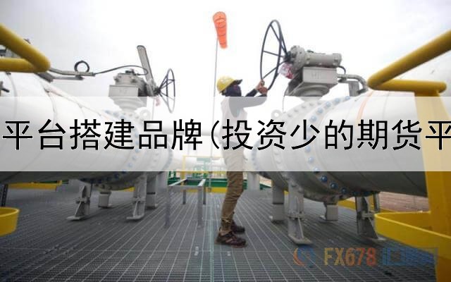  山东期货平台搭建品牌(投资少的期货平台下载)