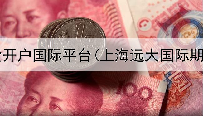  个人期货开户国际平台(上海远大国际期货平台)
