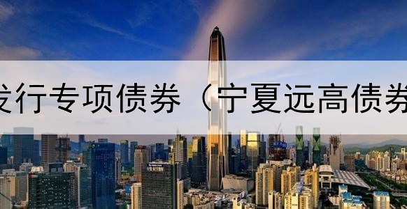  在建项目发行专项债券（宁夏远高债券审计招聘）