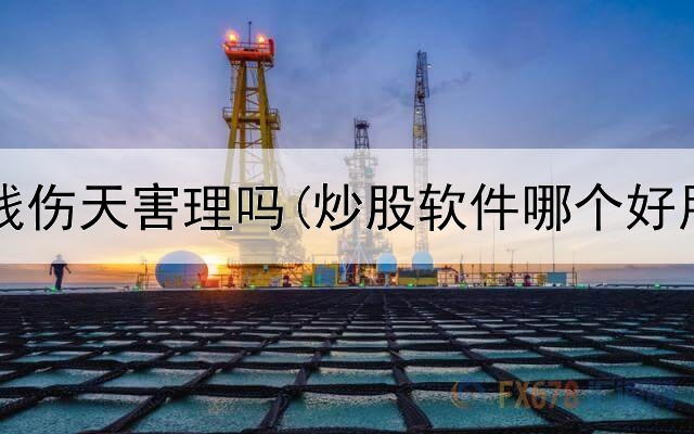  炒股赚钱伤天害理吗(炒股软件哪个好用点呢)