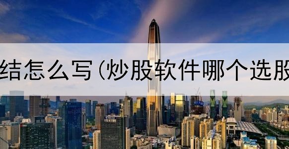  炒股赚钱总结怎么写(炒股软件哪个选股比较准确)