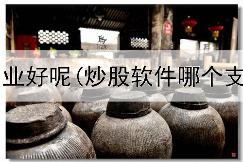  炒股赚什么副业好呢(炒股软件哪个支持多开窗口)