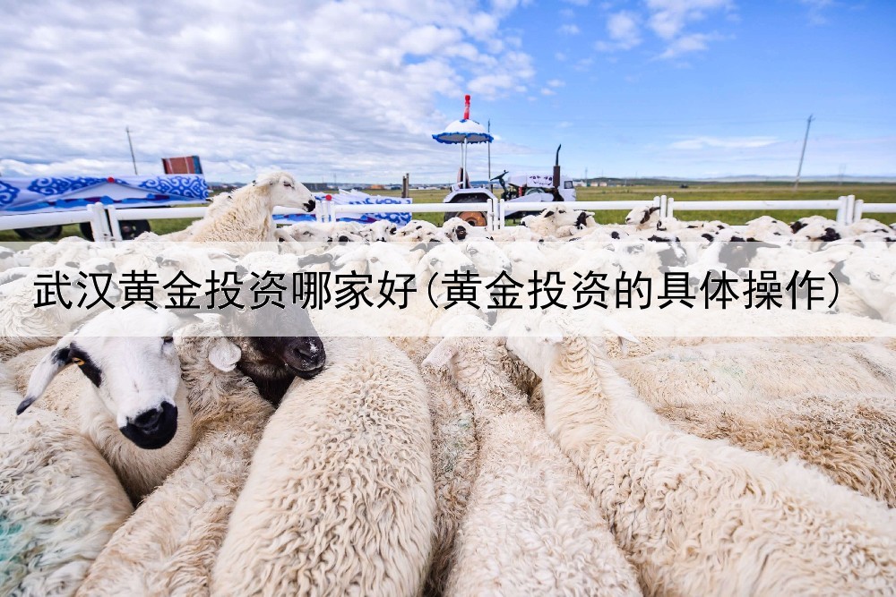  武汉黄金投资哪家好(黄金投资的具体操作)