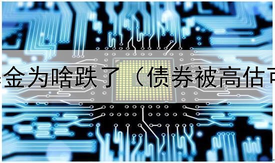  债券指数基金为啥跌了（债券被高估可以投资么）