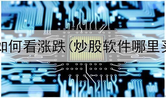  炒股资金如何看涨跌(炒股软件哪里买入最好)