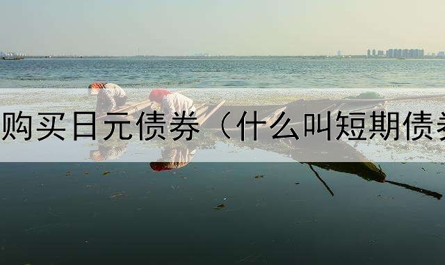  怎么大量购买日元债券（什么叫短期债券性资产）