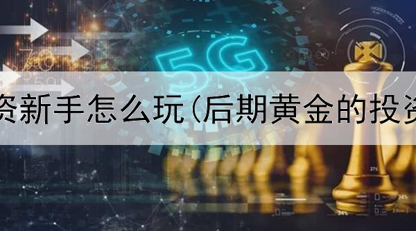  黄金投资新手怎么玩(后期黄金的投资方向)